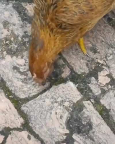 Maybe maybe maybe