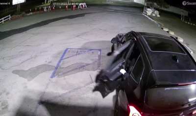 Last night some thugs showed up to a local liquor store (Norco, California) with AR&rsquo;s and the store owner pulled out a shotgun! This is crazy!!!