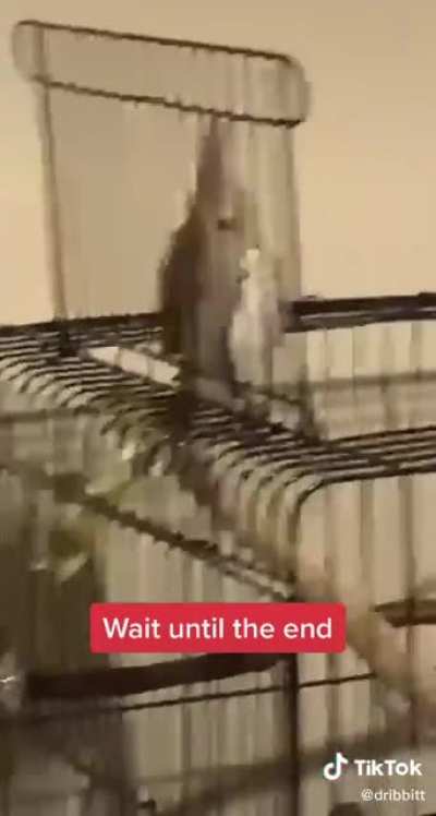 Don't do it