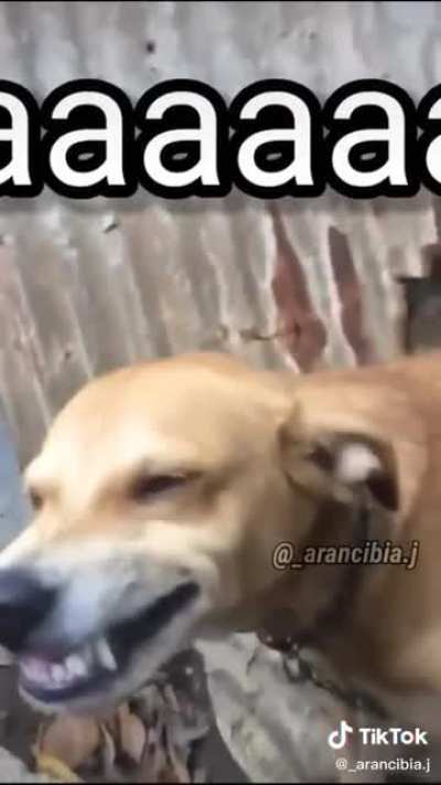 El viejo sanca