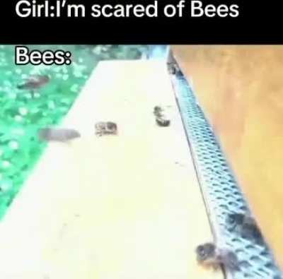 Bees👍