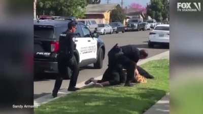 Cops Stop Fellow Officer From Punching Handcuffed Woman