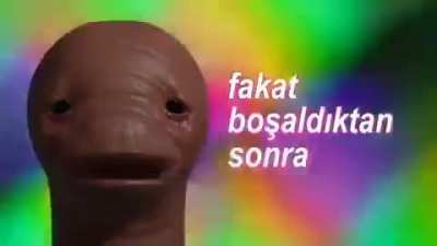 kamu spotu *mağara*