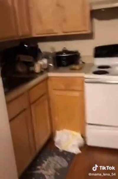 Lena Bull&rsquo;s house is CLEAN ya&rsquo;ll.