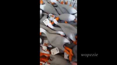 wait for it