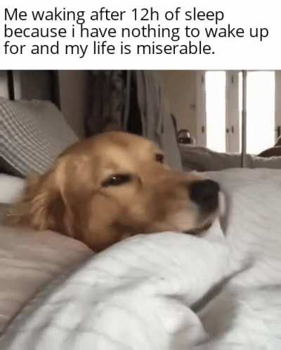 Good sleep (?)