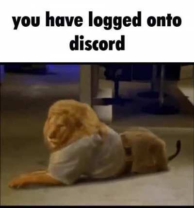 dicsord