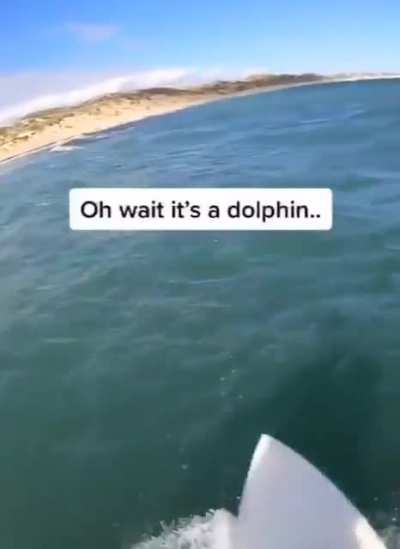 Oh it was just a dolphin