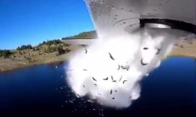 This is how you stock a mountain lake