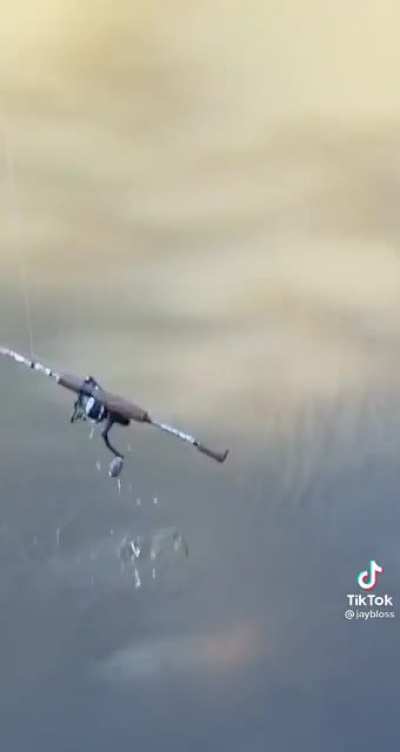 Lucky catch