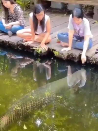 Maybe maybe maybe