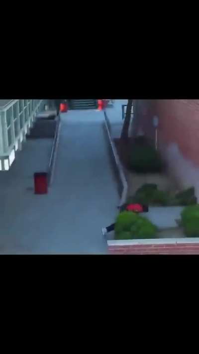 [LFO] Skater Tony Willie Does Something Stupid