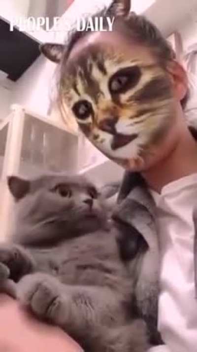 You peeps like Cat Freakouts?