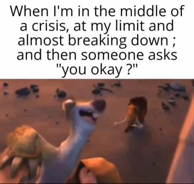 2meirl4meirl