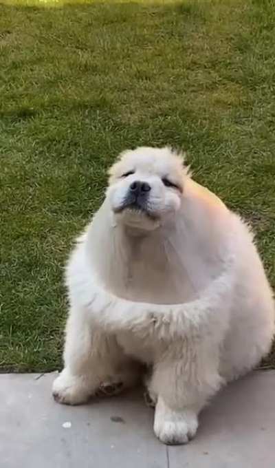 Someone looks like they&rsquo;ve been playing with the funnel in the backyard