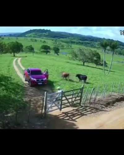 Open the gate