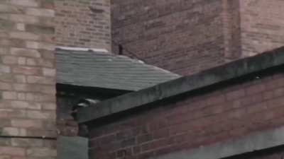 Excerpt drawn from a 1974 BBC documentary examining the works of bomb disposal officers in 70s Belfast. Interesting background photography showing parts of Belfast city centre in the early 70s. Before redevelopment or destruction of older architectural fe