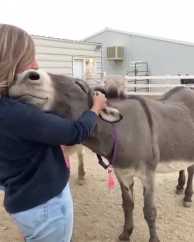 The face of pure happiness