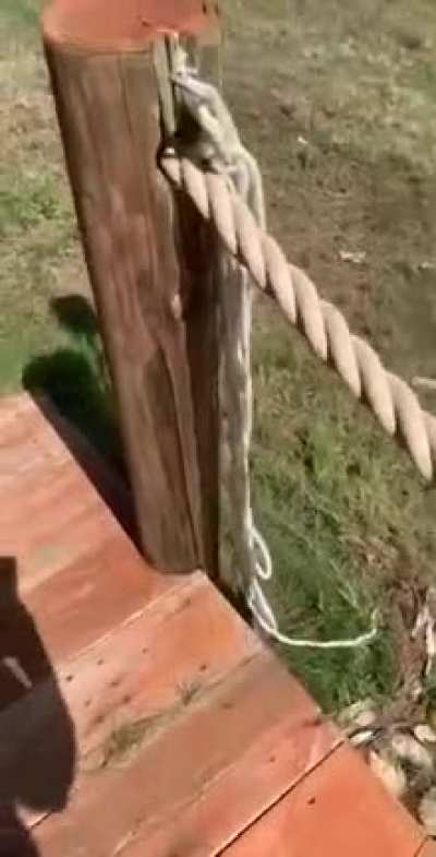 WAP angry freakout