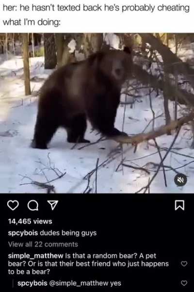 Bear