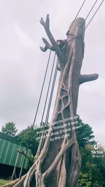 R.I.P.