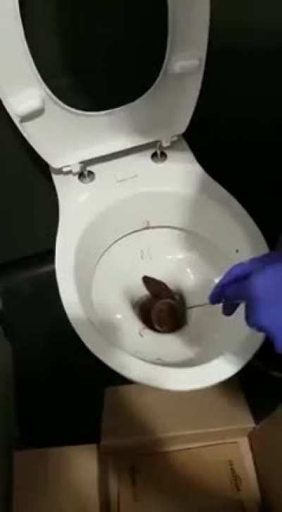 I just hope this dude's asshole is okay