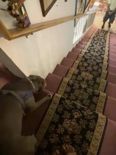 Smoke showing off his method of going down the stairs.