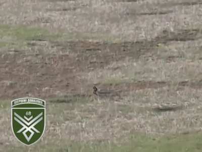 A new footage of a Ukrainian FPV drone "Hornets of Dovbush" unit trying to chase a Russian soldier in a field