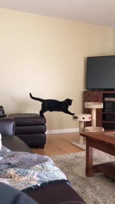 maybe if i stretch first?