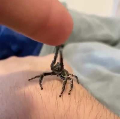 Please may I up?