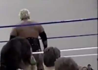 Rikishi stinkface on girl. Believe she&rsquo;s the same girl that got one from Meatball
