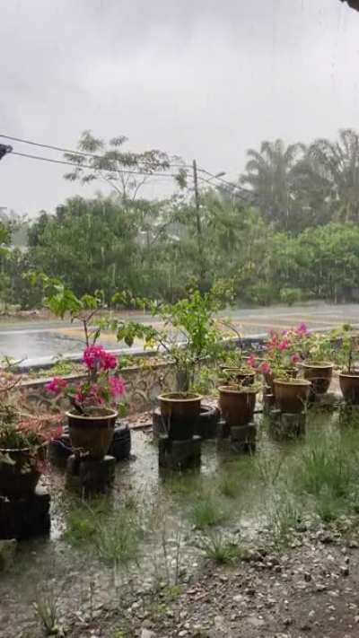 Heavy afternoon downpour.