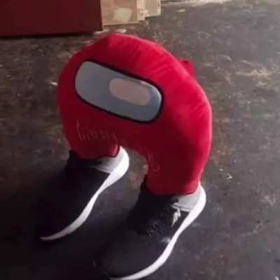 Le sus