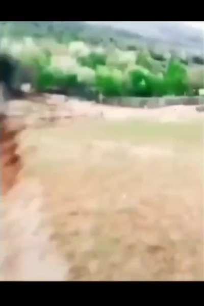Underestimating an Emu