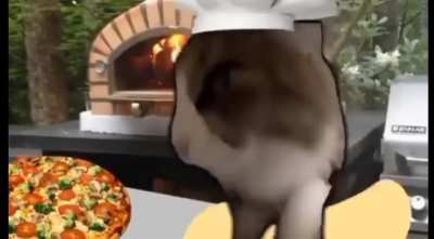 PIZZA CAT