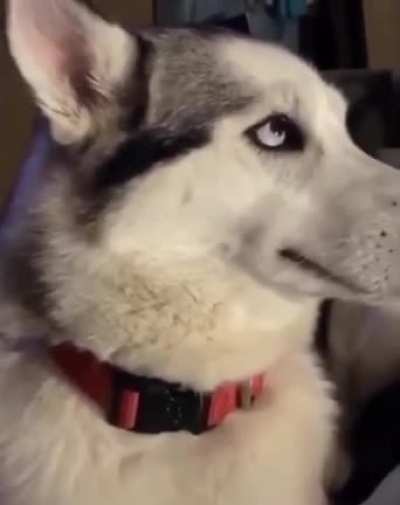 Guilty or innocent?