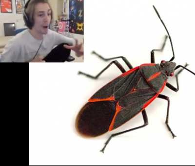 BUGBUGBUG