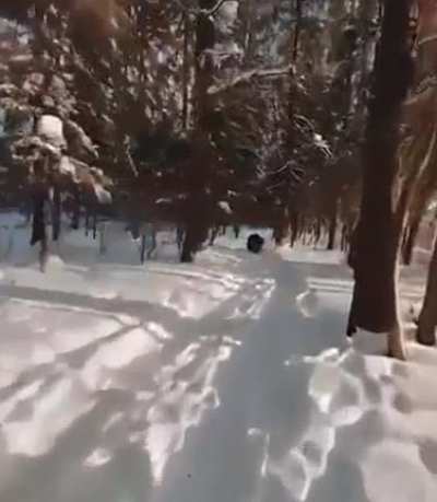 &ldquo;Wonder what I&rsquo;ll see with my drone toda-OH FUCK!&rdquo;