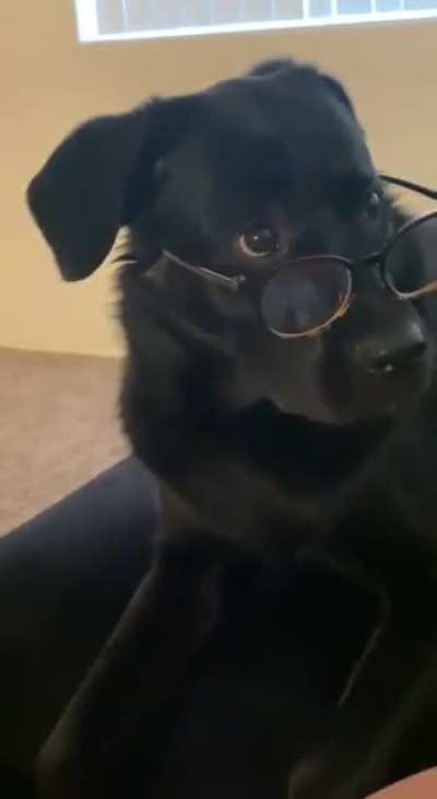 &ldquo;Excuse me?!?&rdquo;