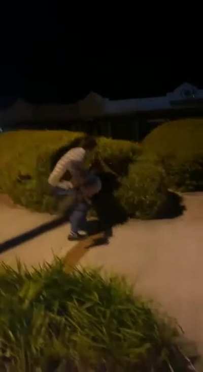 To Throw Dude In A Bush