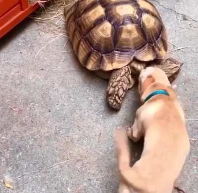 When you meet someone and want to be best friends right away.