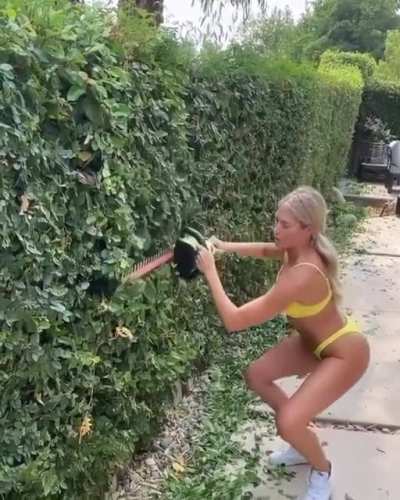 Kelly kelly