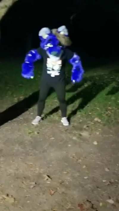 Dogs_IRL