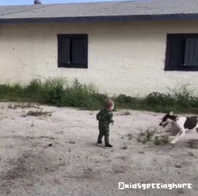 Good boy