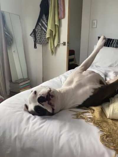 The stretch!