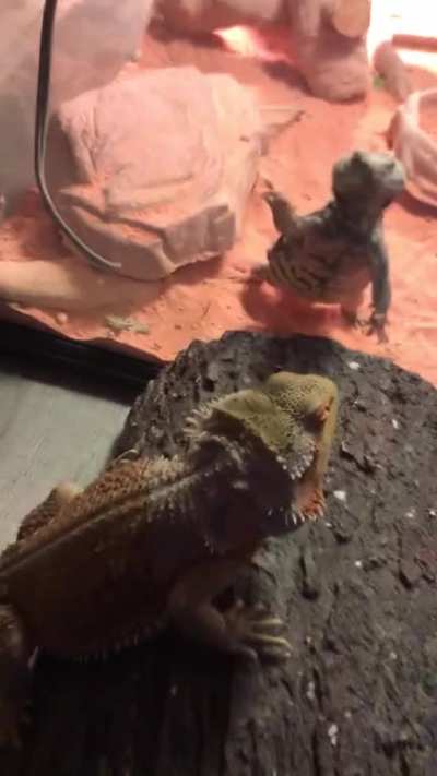 Hey you! Can you see me?