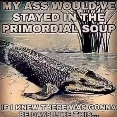 rule