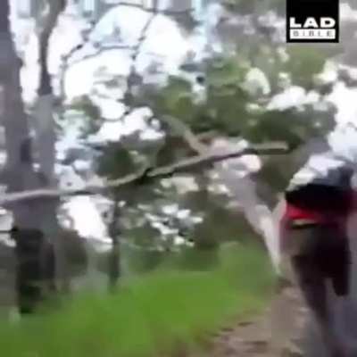 Log counter-strikes