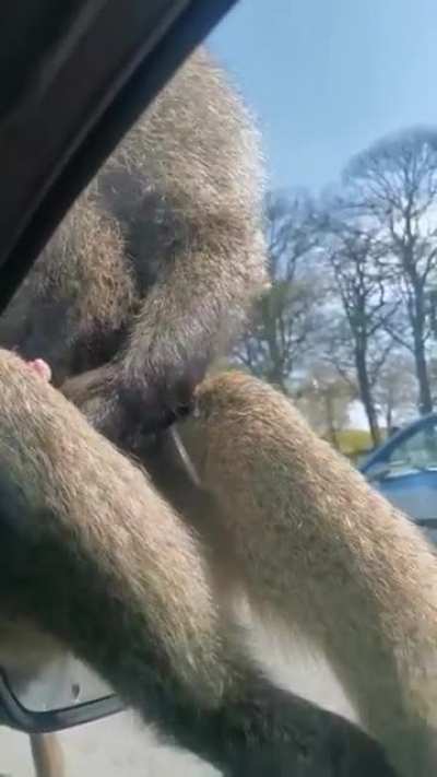 NSFW