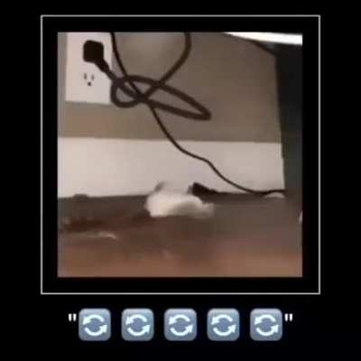 Spin